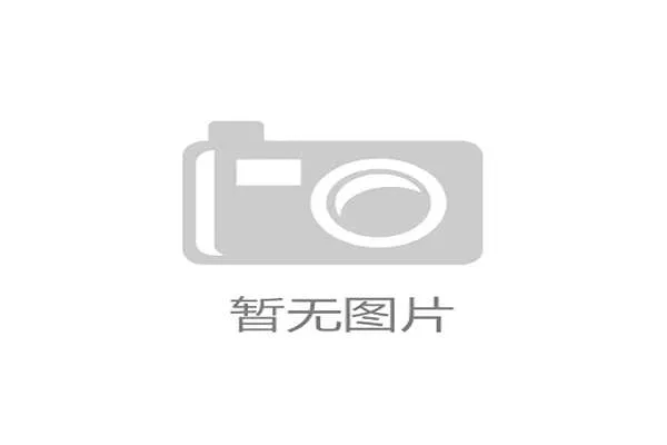 欧洲手球市场细分分析聚焦器材赛事及培训行业发展趋势 欧洲手球市场细分分析聚焦器材赛事及培训行业发展趋势
